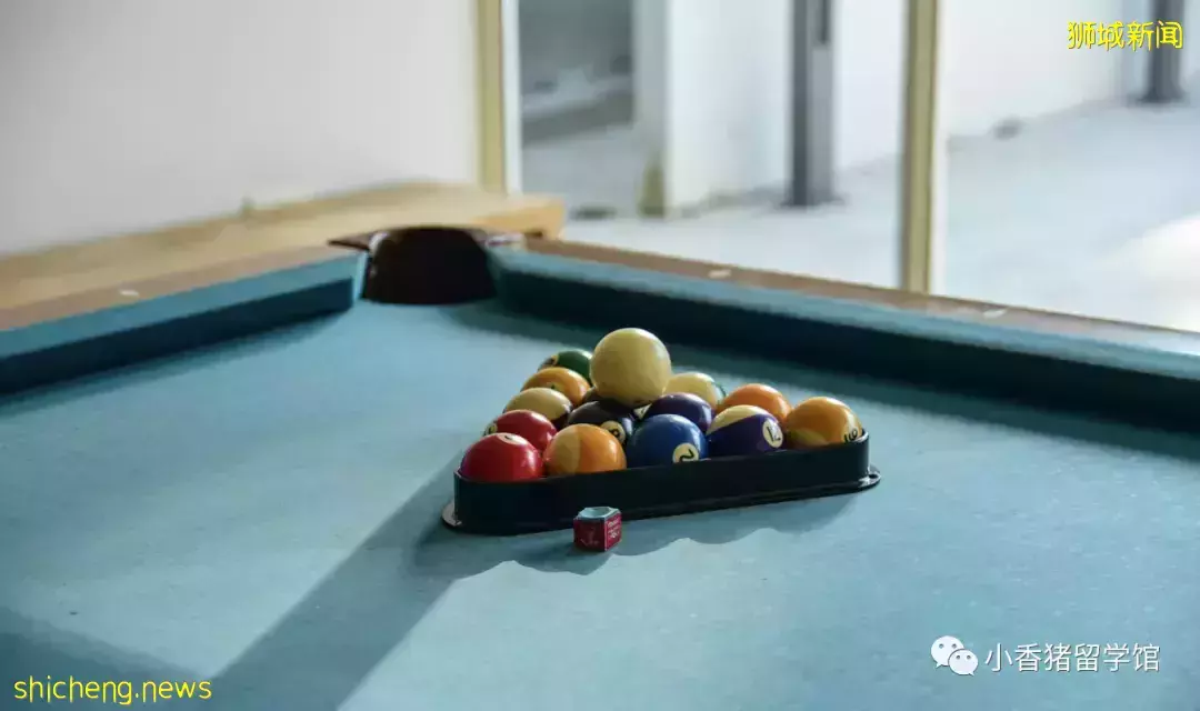 新加坡留學校內住宿：如何get限量版好房