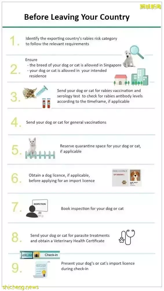 耗时6个月,隔离30天,我的宝贝终于来新加坡跟我团聚了