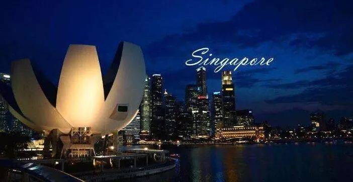 新加坡公司营业执照注册纸BIZFILE授权书公证认证流程