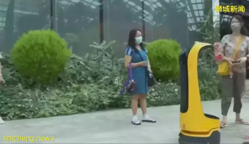 新加坡景點春節迎人潮，老虎和熊貓“叻叻”成“人氣王”