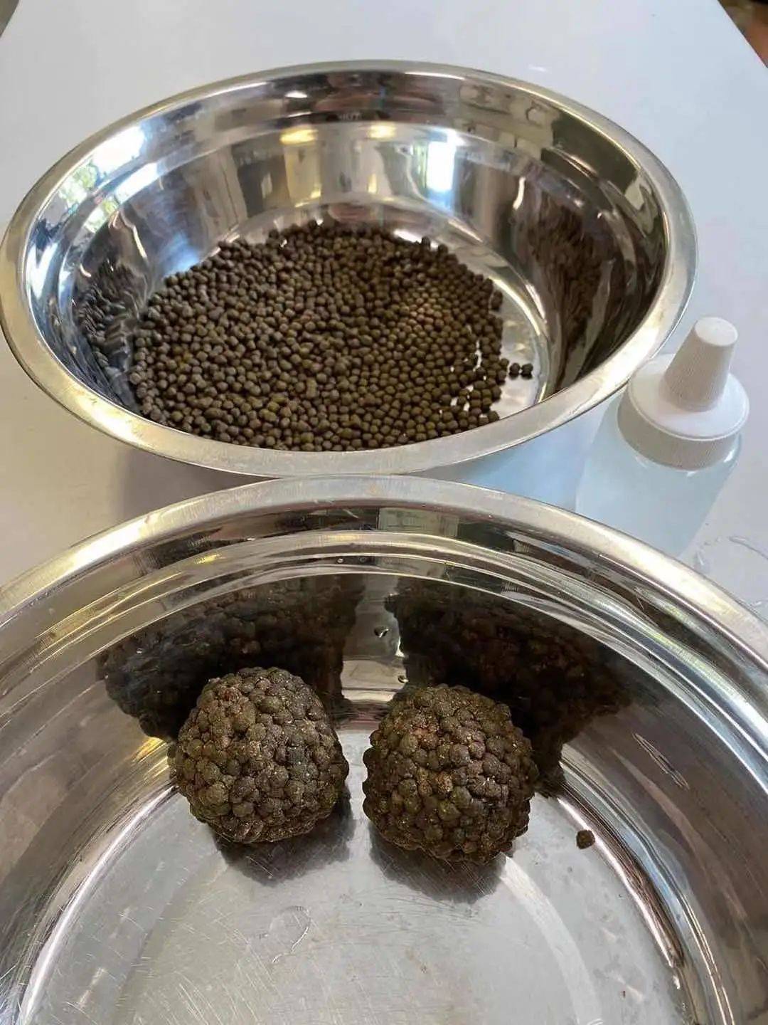 新加坡遛娃新去处!到河川生态园喂海牛,给孩子不一样的staycation