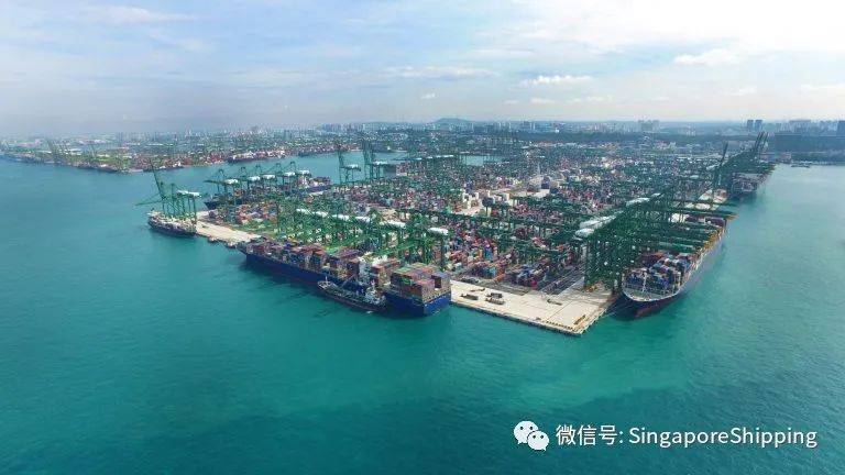 新加坡公司关于排放研究的声明