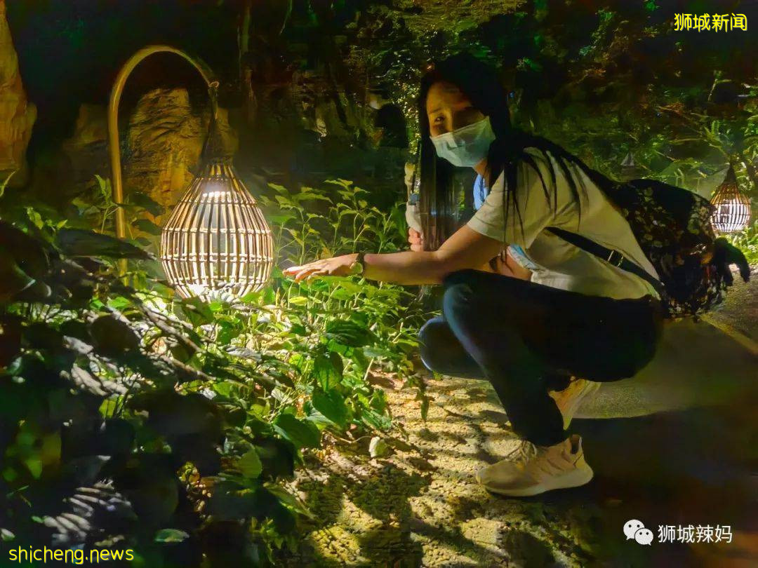 低至S$8！就3天！新加坡動物園“幻光雨林之夜”強勢回歸，亞洲第一夜遊體驗