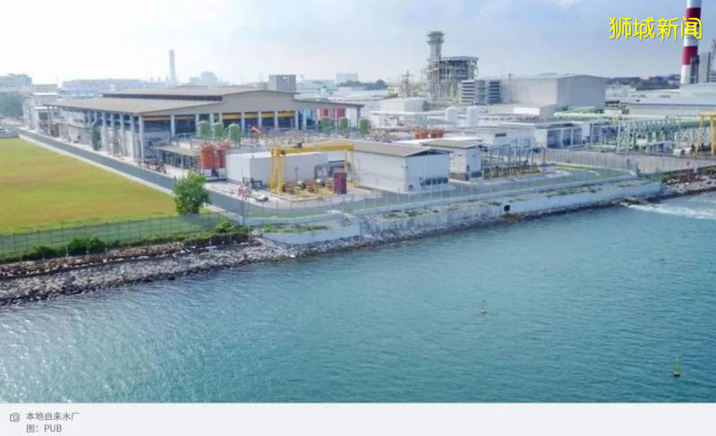 惊!新加坡多处自来水喝出“香兰叶味” ?有没有毒