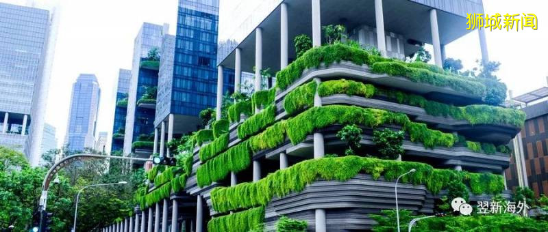 新加坡本科文憑含金量怎麽樣？“門檻”究竟有多高