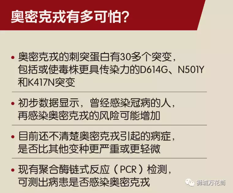 奧密克戎變異株恐攻入新加坡，你們了解它嗎