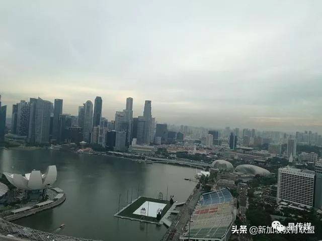 人口出生率降低！引进更多移民