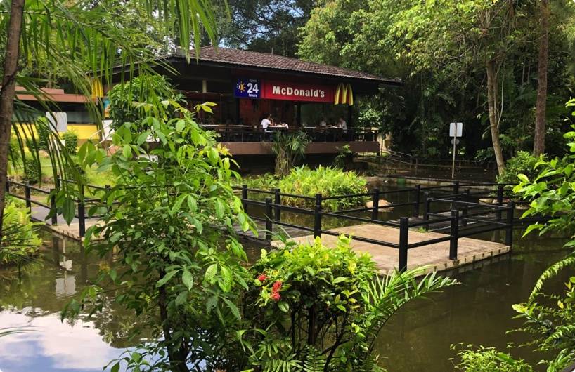 經過32年後,這間日本主題花園麥當勞“准備關閉”