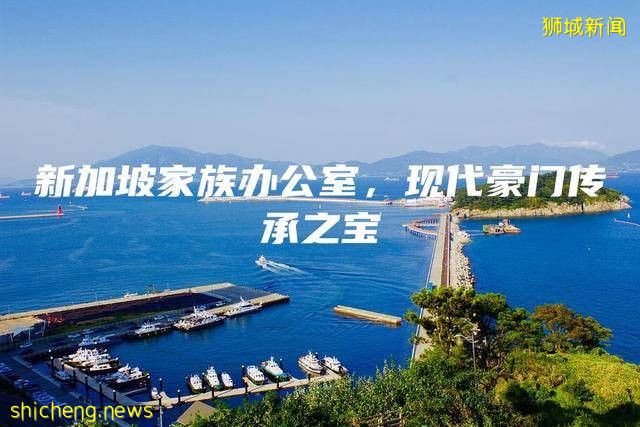 新加坡家族办公室，现代豪门传承之宝