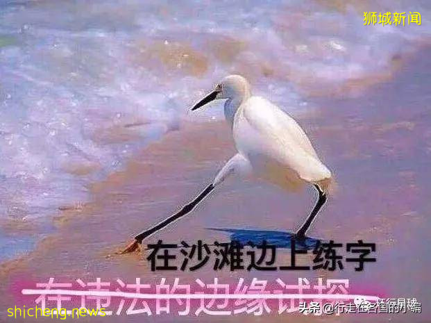 不穿衣服被邻居看到,应该罚款么?爱罚款的新加坡规定你知道多少