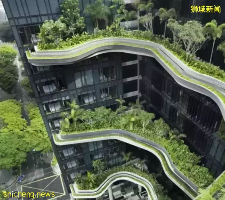 新加坡拨款6300万！鼓励业主改进建筑采纳绿色方案