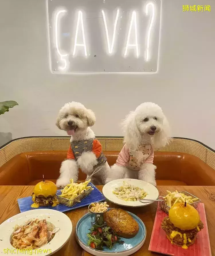 全新宠物友好的Cafe“Cava”🐕户外用餐区能让宠物入座!主打西式料理,快来探店咯