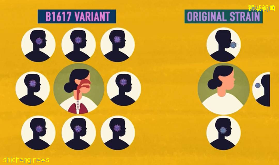 新加坡卫生部长手写稿流出，透露重大信息！一周后有望解封