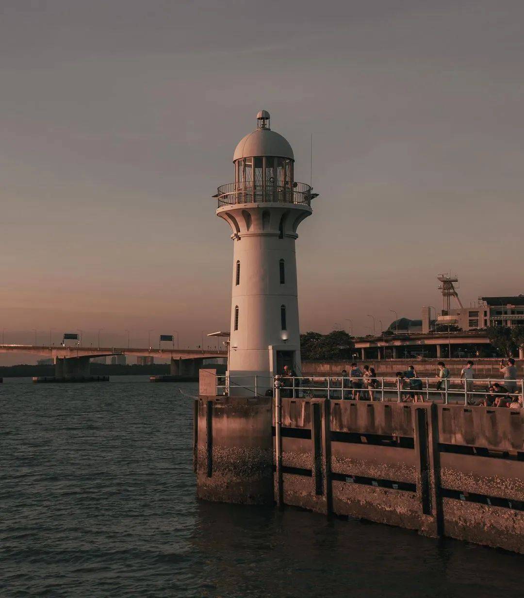 新加坡1月必看!这12个活动走起,炫彩霓虹、水獭快闪、最大狗狗水上乐园