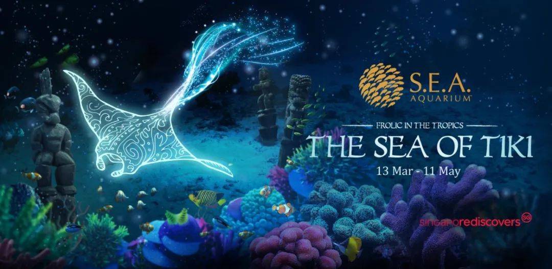 "夏威夷”來新加坡啦