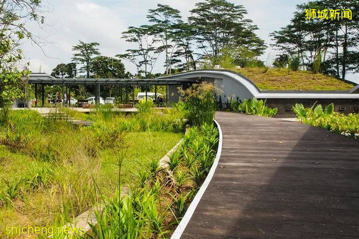 最適合帶孩子去的—新加坡裕廊湖畔花園