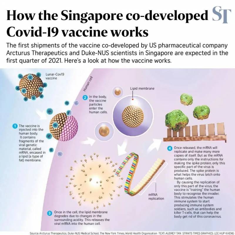 新加坡专家与Arcturus医药公司共同研发,购买首批疫苗最快2021年首季运到
