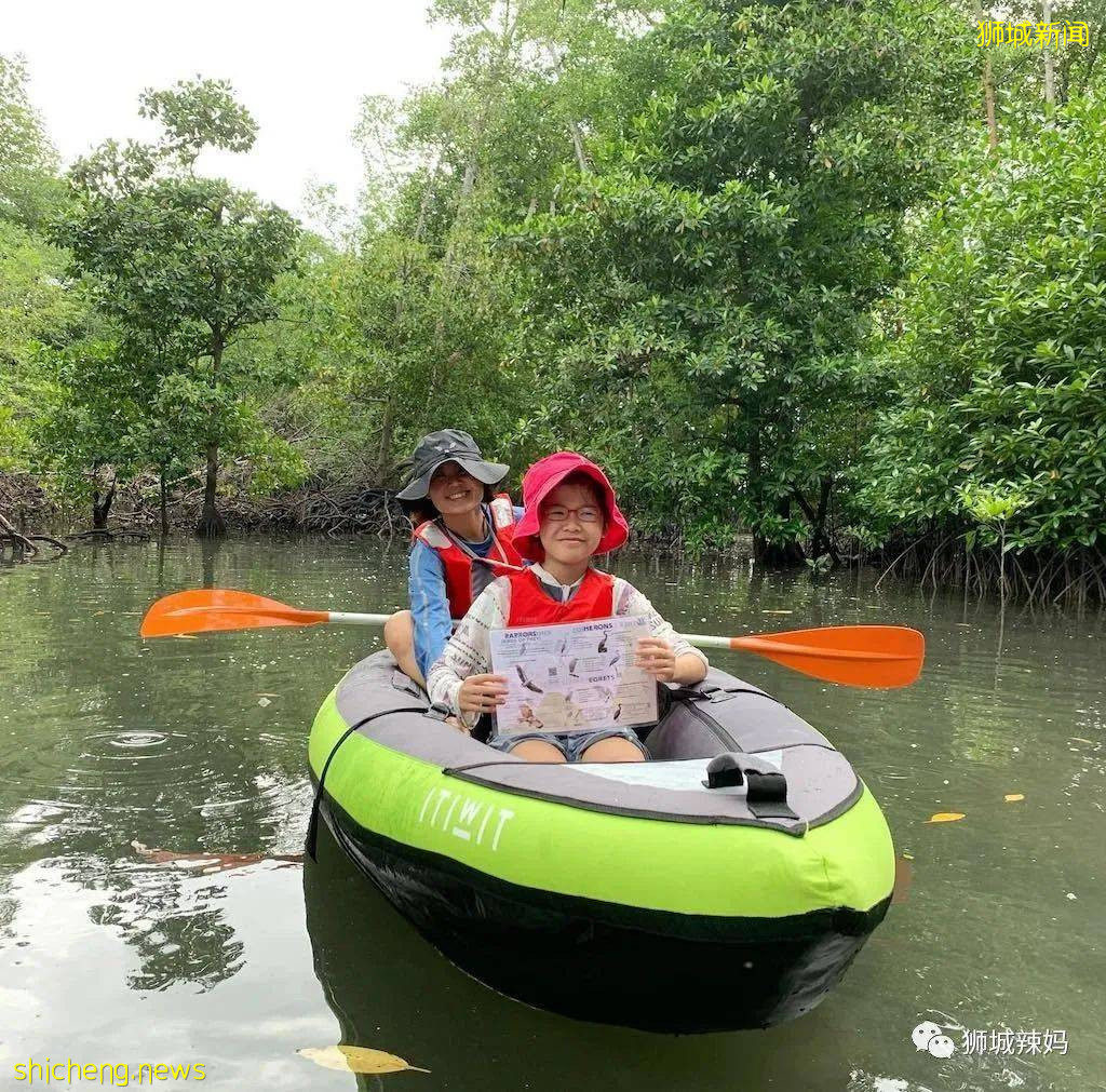 新加坡13家親子皮劃艇推薦!低至$8,3歲可玩,全家一起享受水上漂流的快樂