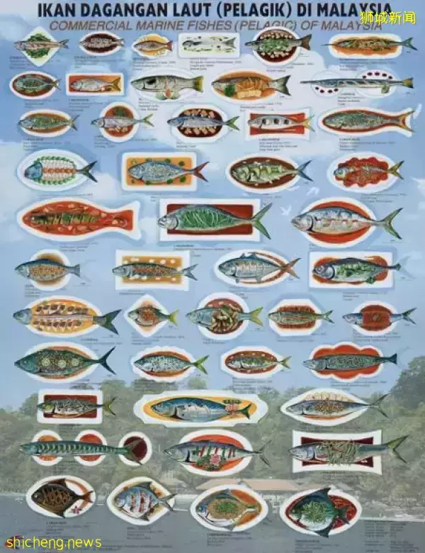 SEA AiR 項目啓動,歐盟和東南亞加深藝術文化交流