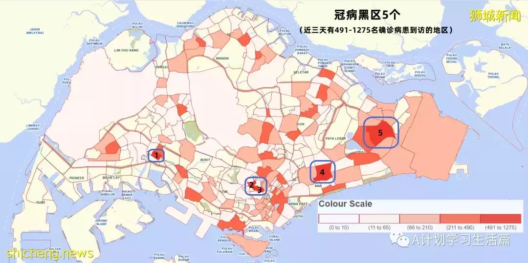 新增2568起，住院病患還有339人；新加坡冠病疫情持續好轉