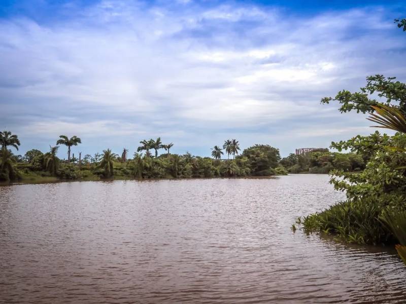 NTU 周邊的絕美拍照聖地,你不想去打卡嘛
