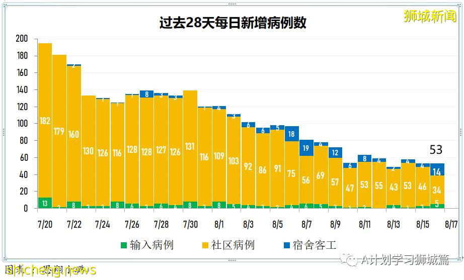 8月17日，新加坡疫情：新增56起，其中本土52起，輸入4起；又一名小五生確診