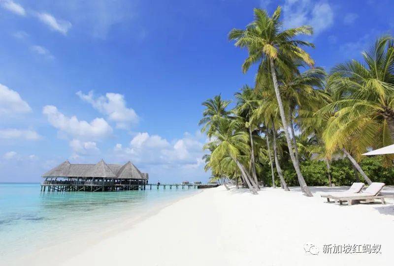 新加坡民众对旅游泡泡计划:既期待又有点怕怕