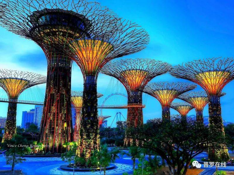 留学移民两不误 来看看新加坡的教育移民