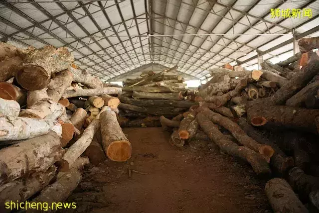 2022新加坡遺産節回歸！更豐富更好玩，5月的四個周末都有精彩安排