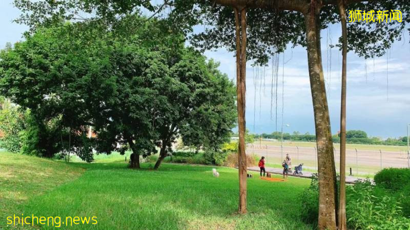 不能出国，坡里这些美食美景让你假装在国外