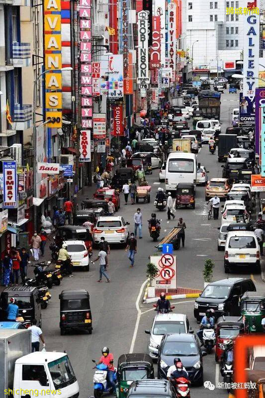 兩周蜜月延至兩個月! 新婚夫婦疫情期間滯留獅城身無分文差點露宿街頭!