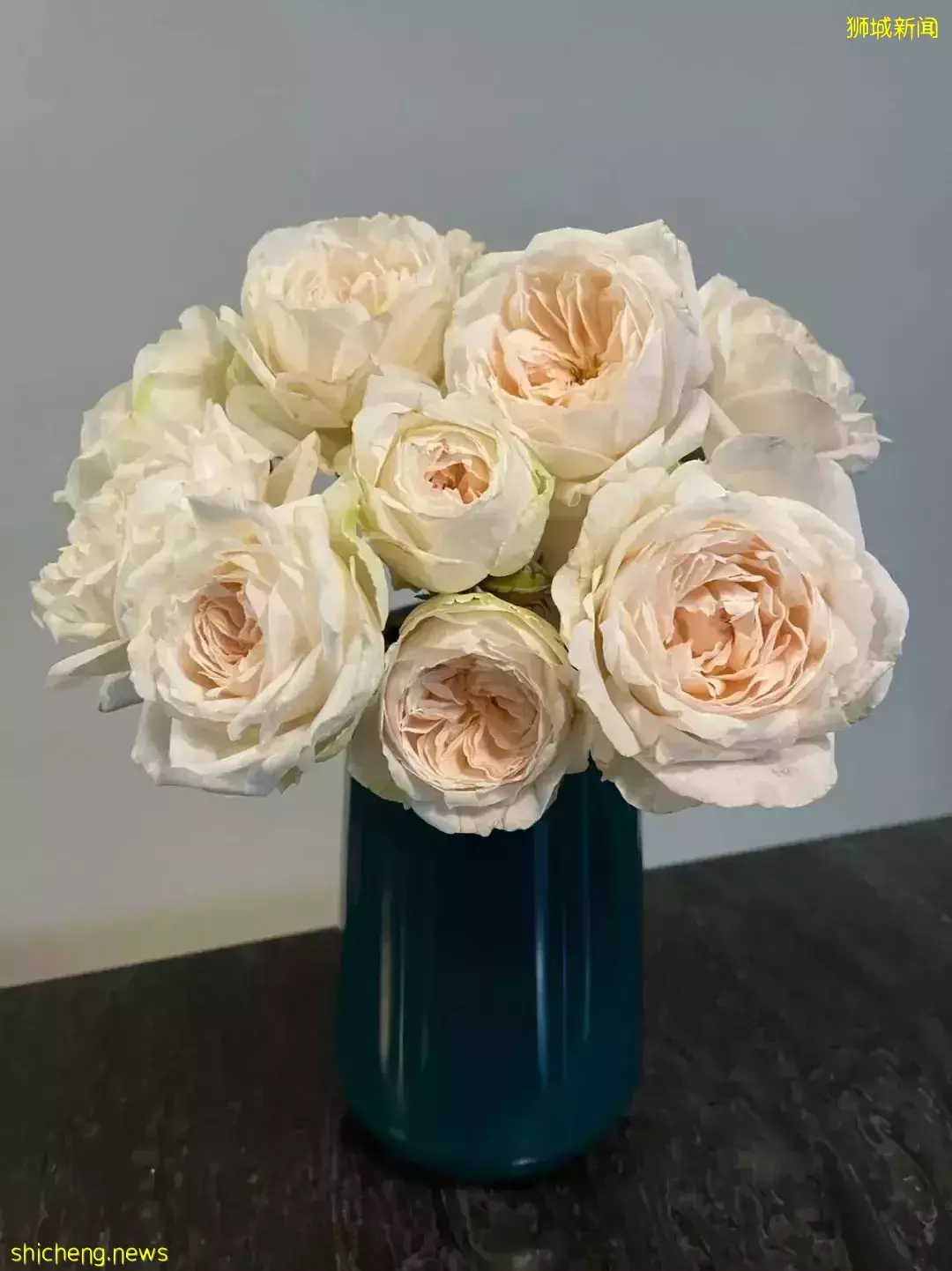 鮮花在熱帶也能養1個月？資深花友新加坡買花、養護大揭秘