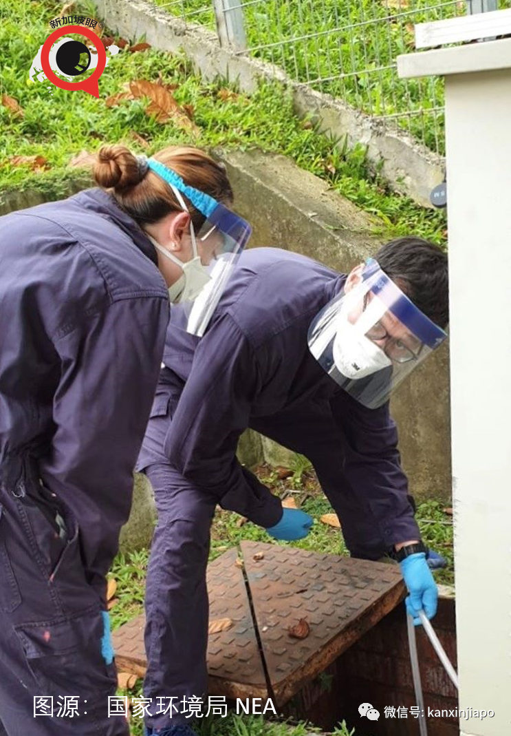 今增X，累计X | 再放宽！新加坡人抵达马来西亚后不需要隔离和检测