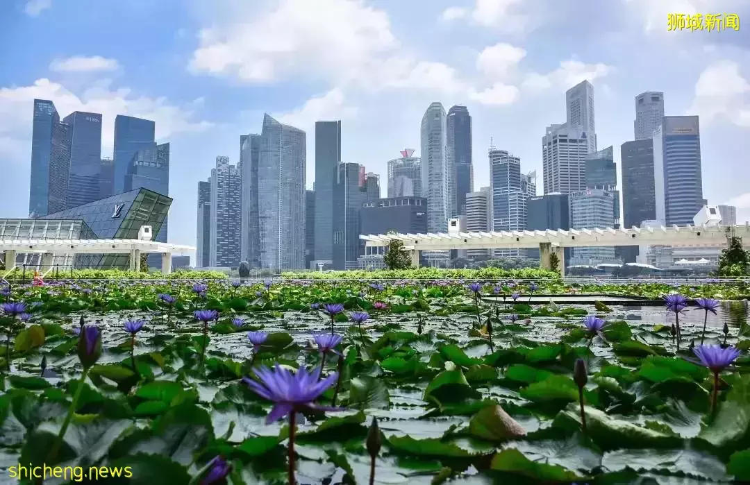 Singapore連續16年蟬聯全球最宜居城市