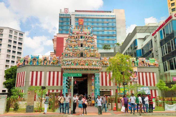 印度疫情告急！在新加坡的印度兄弟們，還好嗎