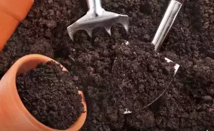 咖啡渣变原料!完全践行新加坡持续发展之道