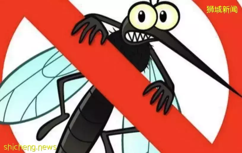 破纪录!这对夫妻在新加坡被罚115万新币!这25件事一定不能做,违法罚钱