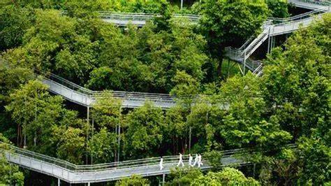 花香鸟鸣,绿荫环绕,新加坡十大生态徒步路线走起