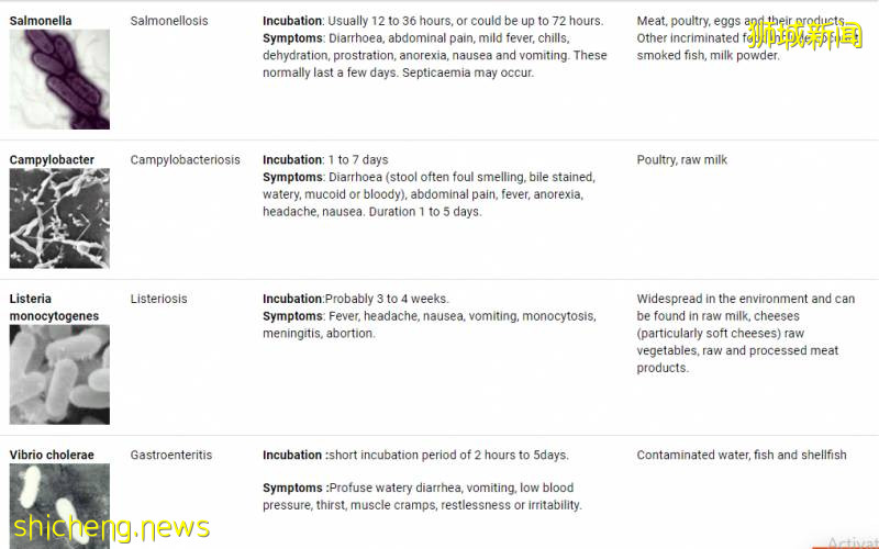 德國、美國肉類工廠確診破1000、百事中國8人確診!新加坡進口食品還安全嗎