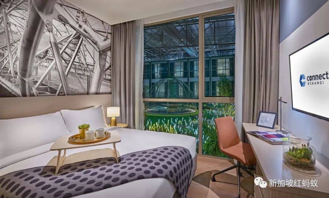 讓國際旅客甘願掏錢住在泡泡裏開會的會聚@樟宜,有哪些賣點