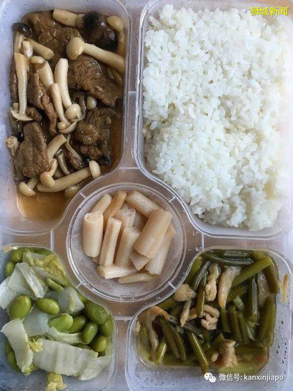 最新經驗分享,從新加坡飛上海我經曆了啥