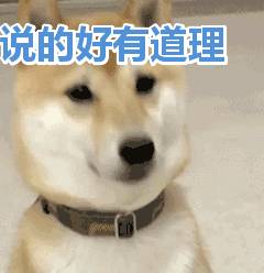 月薪3000新幣 VS 10000人民幣，再見！新加坡！還是離不開