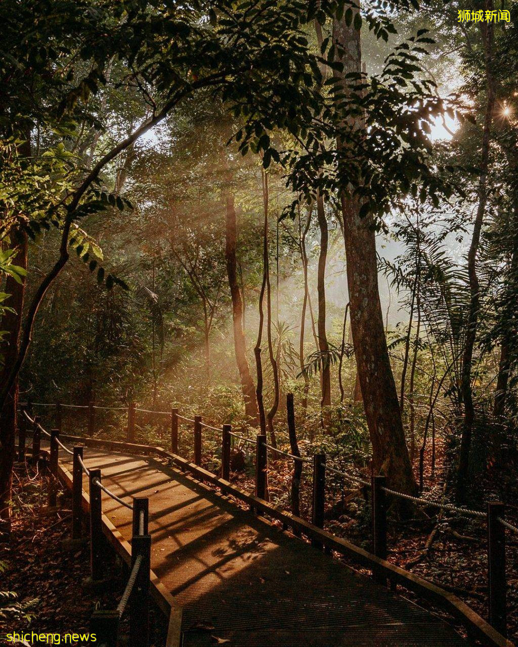 结合自然+文化遗产、汤申自然公园攻略🔎5条徒步路线、可以看到海南村旧建筑+珍稀动物🐒