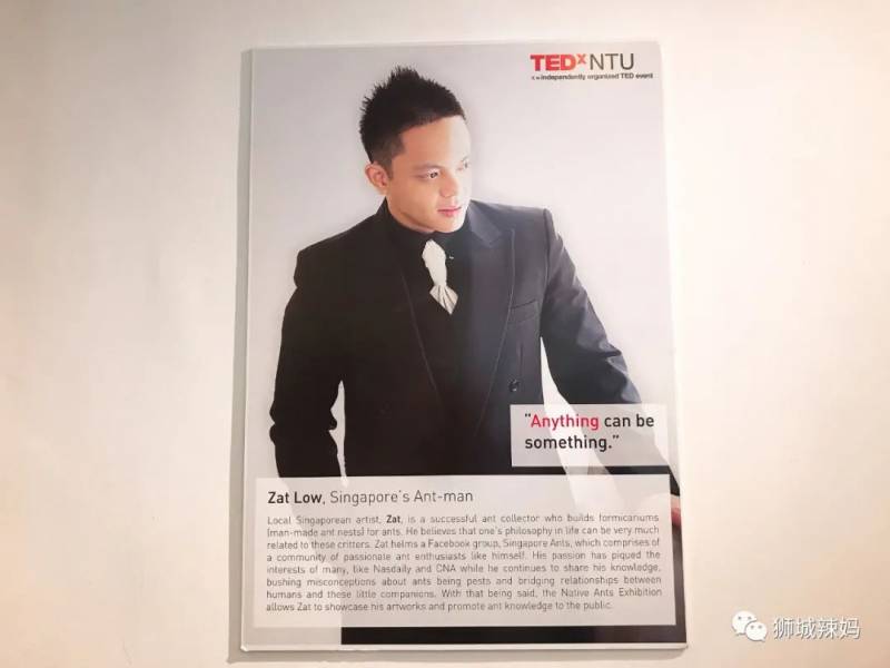 亞洲第一的螞蟻博物館居然在新加坡