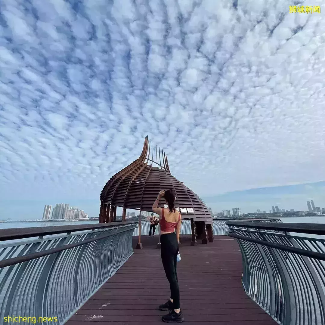 甩肉去！新加坡最美9条骑行路线