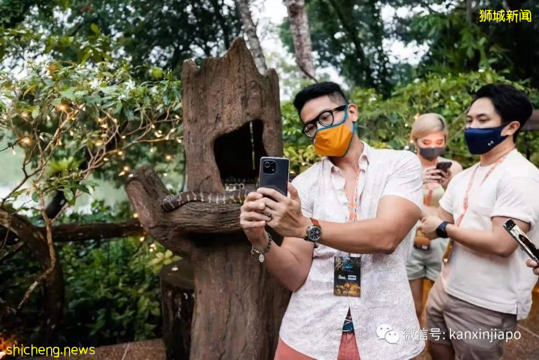 小米新加坡牵手Night Safari动物园网红大象,温情满满