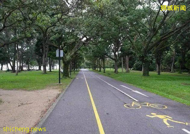 约跑吗？那就收下这份狮城最美夜跑路线图吧