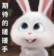 宅家活動推薦 | 刷手機不如看演唱會,新加坡這些精彩的線上活動不容錯過