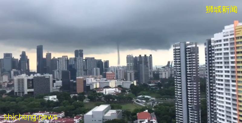 又“狂”又“野”的新加坡奇景!天氣多變,生態豐富!