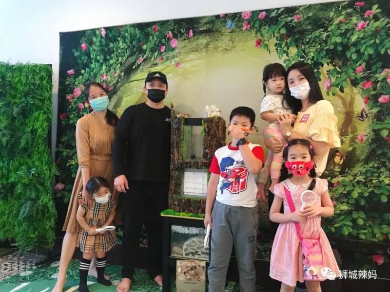 亞洲第一的螞蟻博物館居然在新加坡